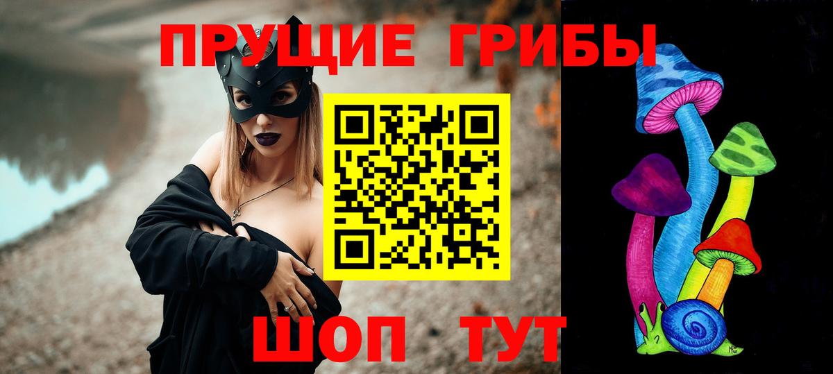 как найти наркотики  Псилоцибиновые грибы Magic Shrooms  Вход с VPN  Вологда 